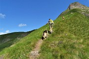 57 Salendo dal Passo di Valsanguigno-W in vetta al Pizzo Farno 